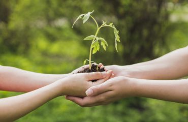 hands-holding-small-plant_23-2147807258