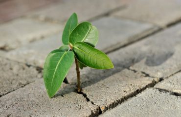 resiliency-Pouria_Parhizkar